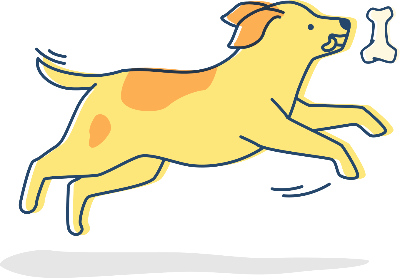pet trainer illustration